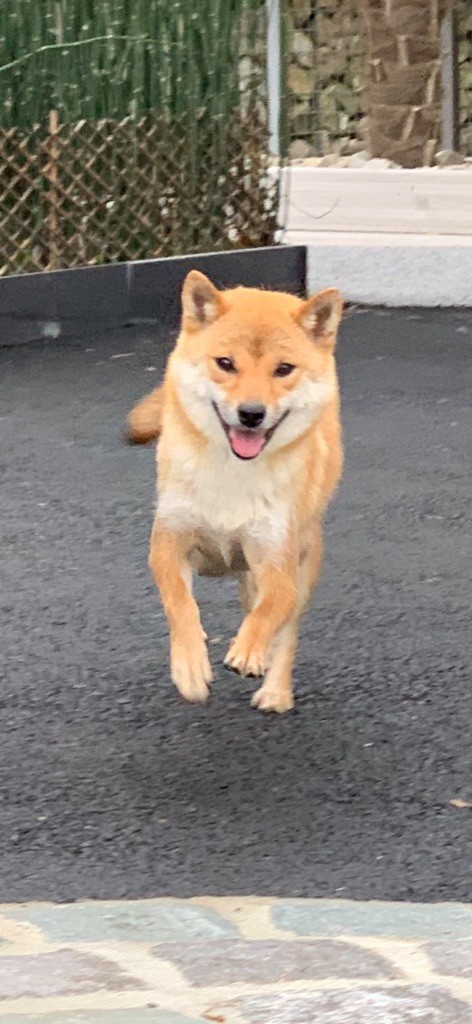 Rita du Domaine du Clos Benoît