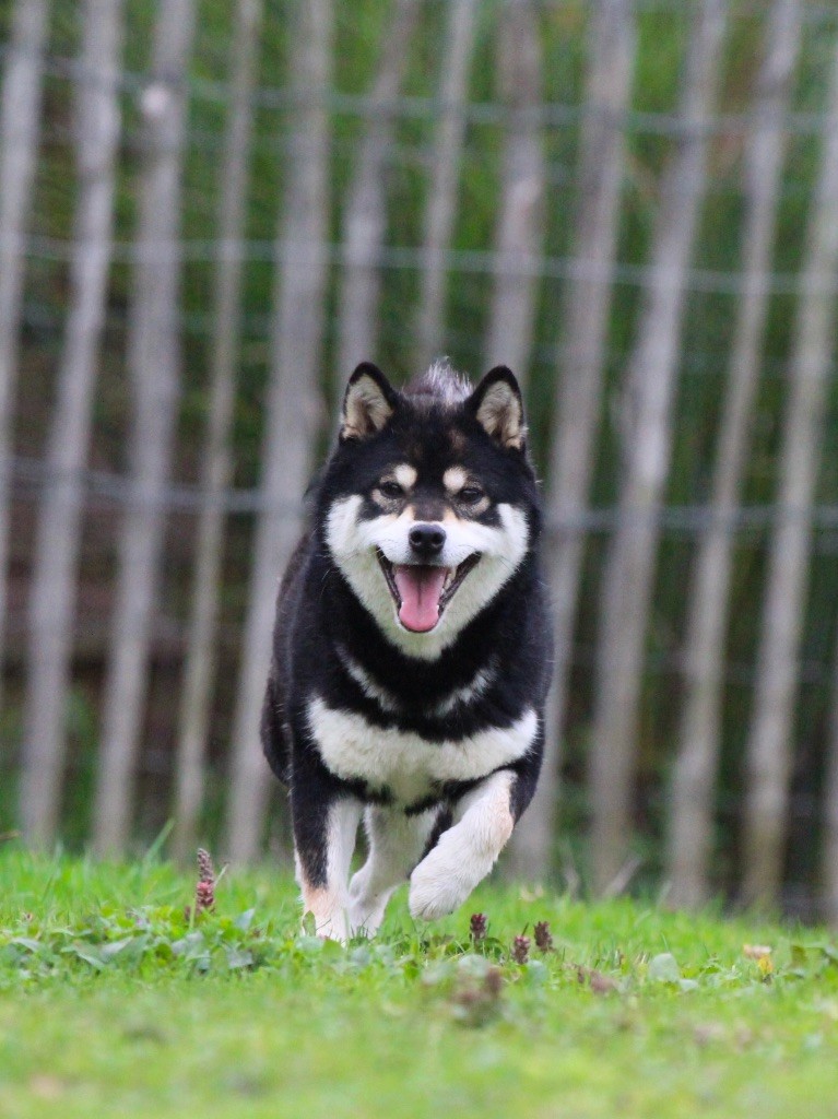 Ushuaia du Domaine du Clos Benoît
