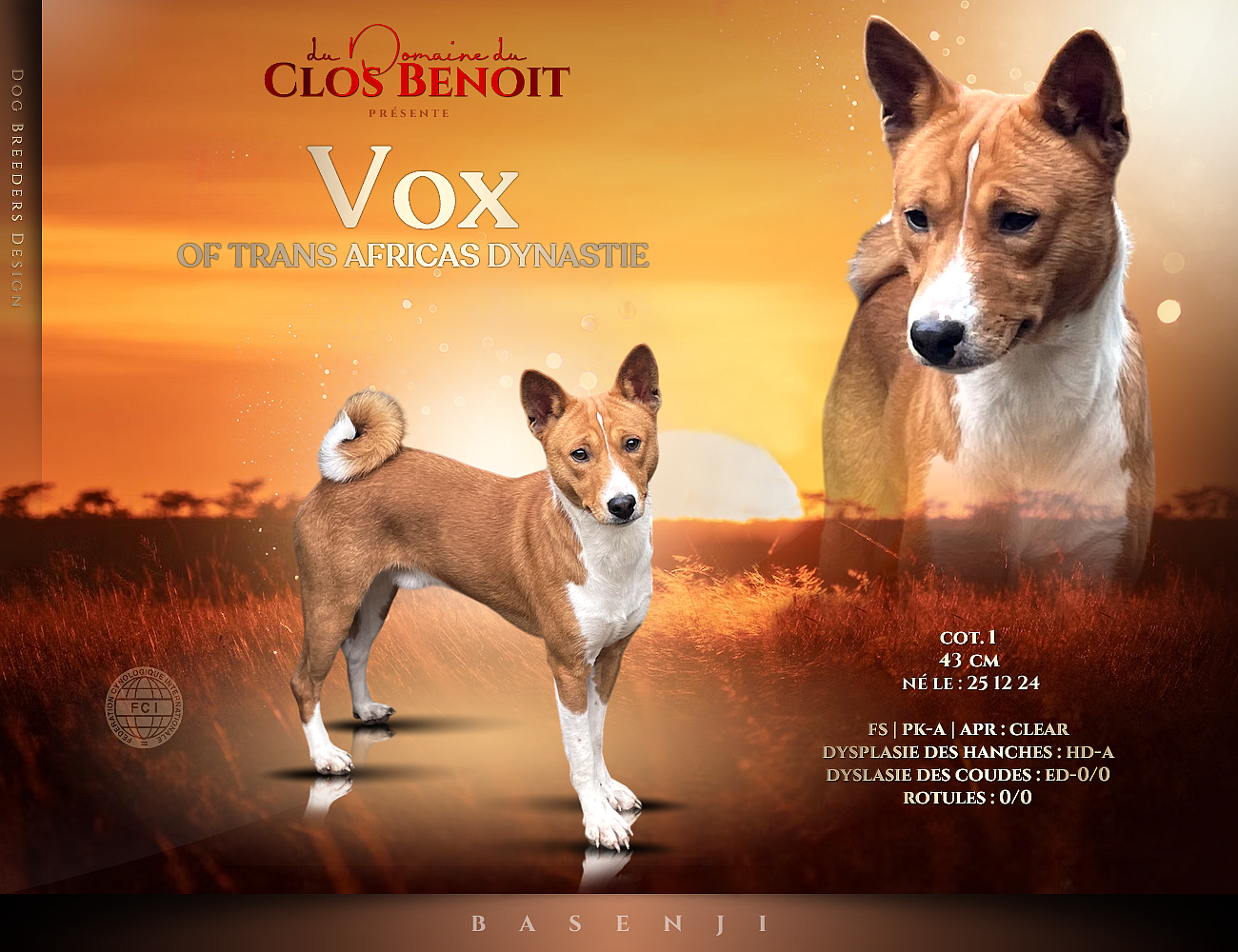 VOX of trans africas dynastie (Sans Affixe)